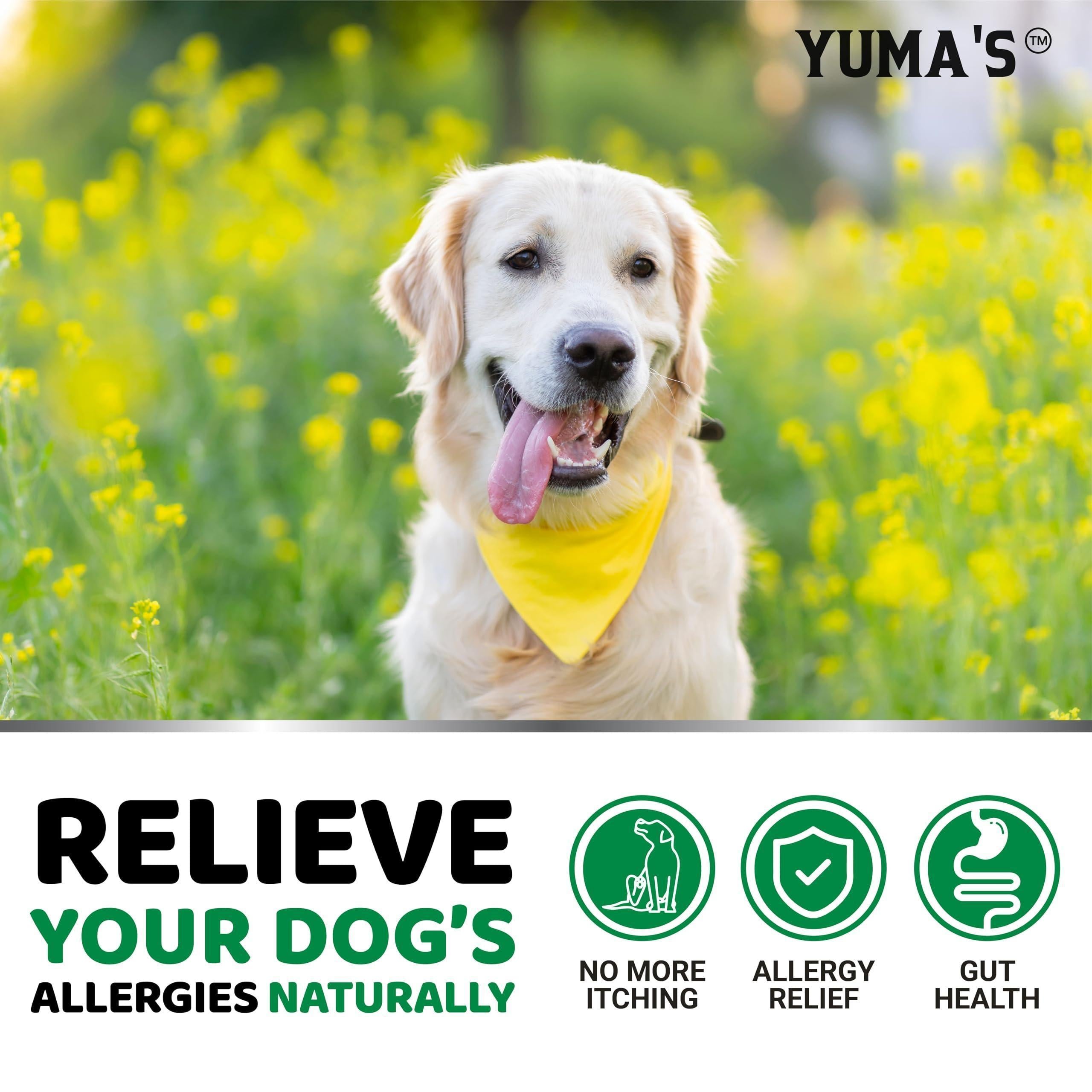 Dog Allergy Relief Chews