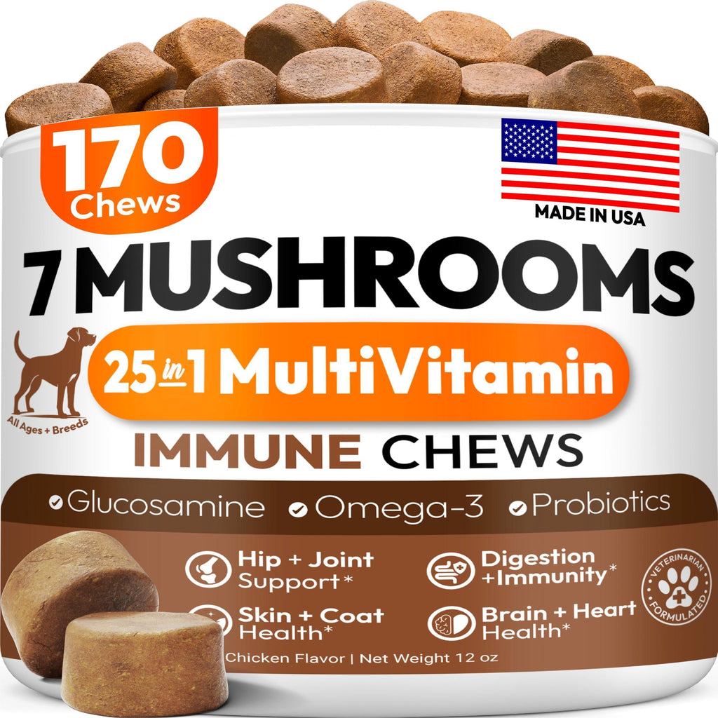 Mushroom Chews Supplement   Multivitamin for Dogs Vitamins Health