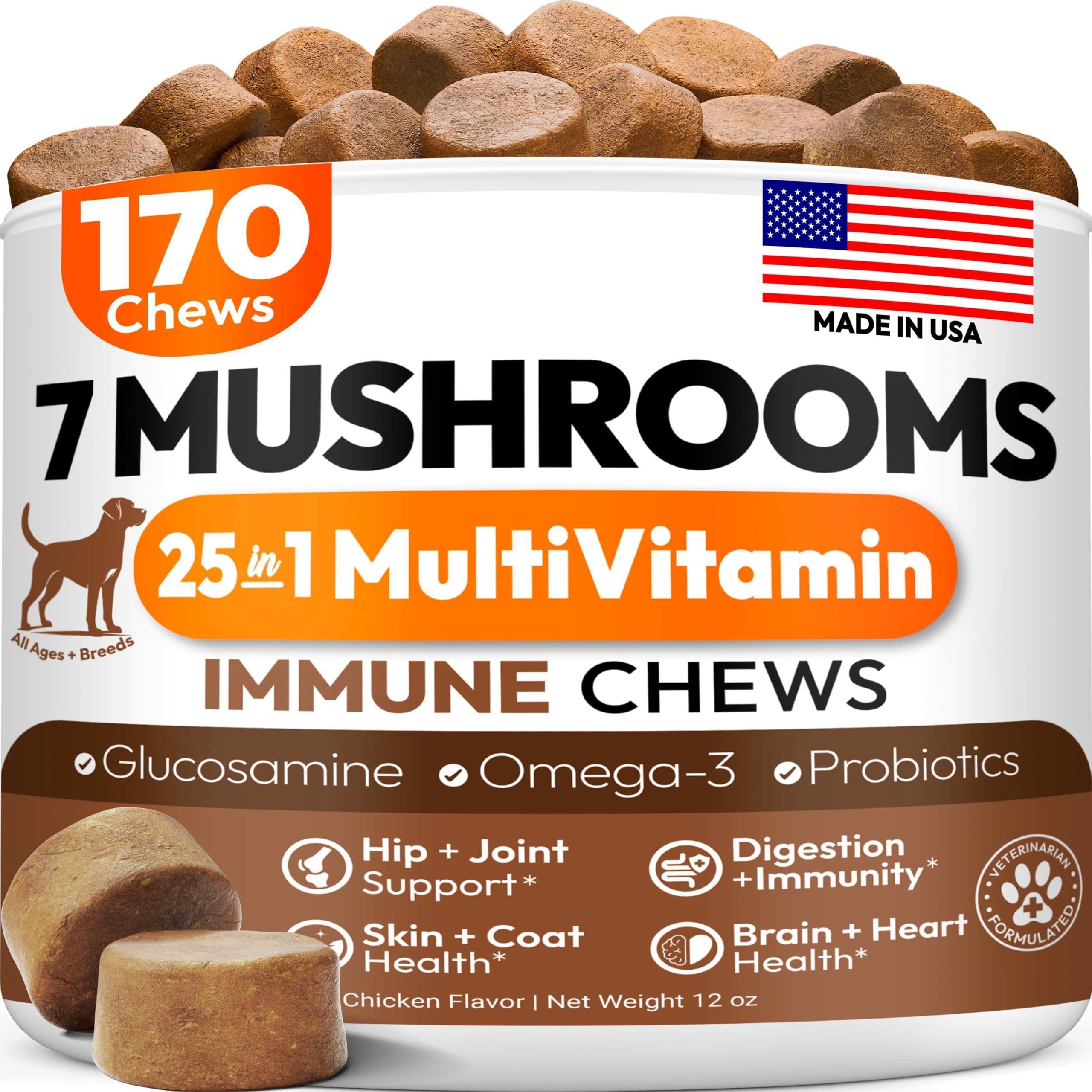 Mushroom Chews Supplement for Dogs