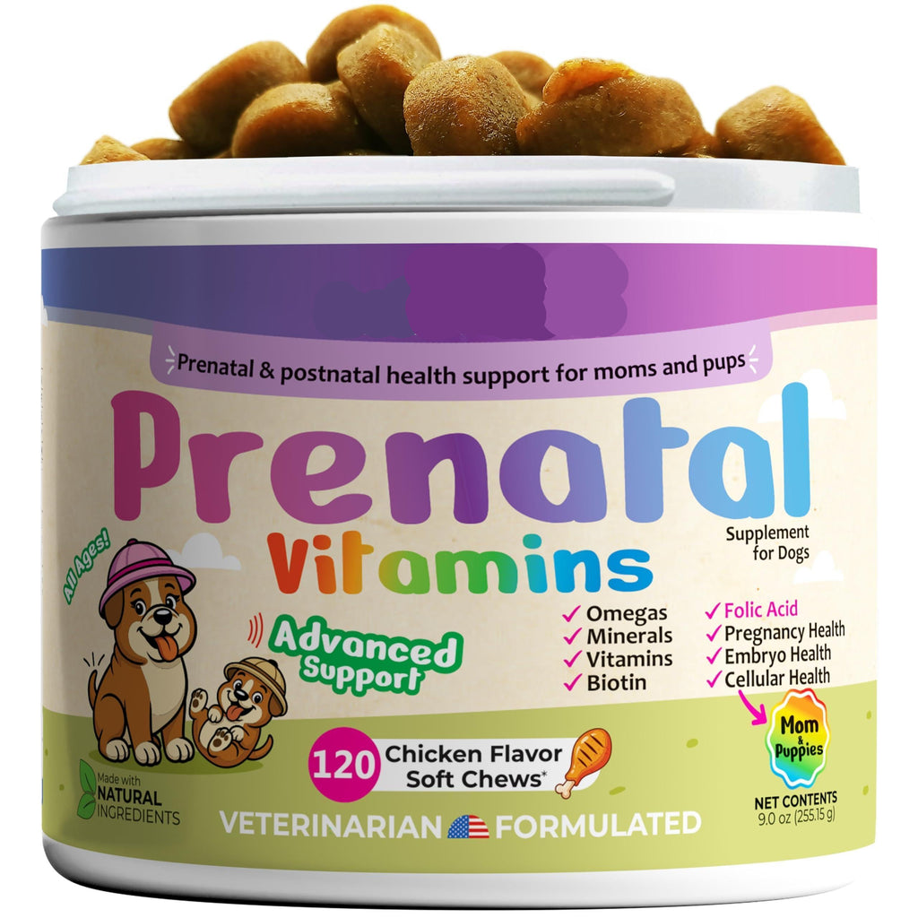 Dog Prenatal Vitamins