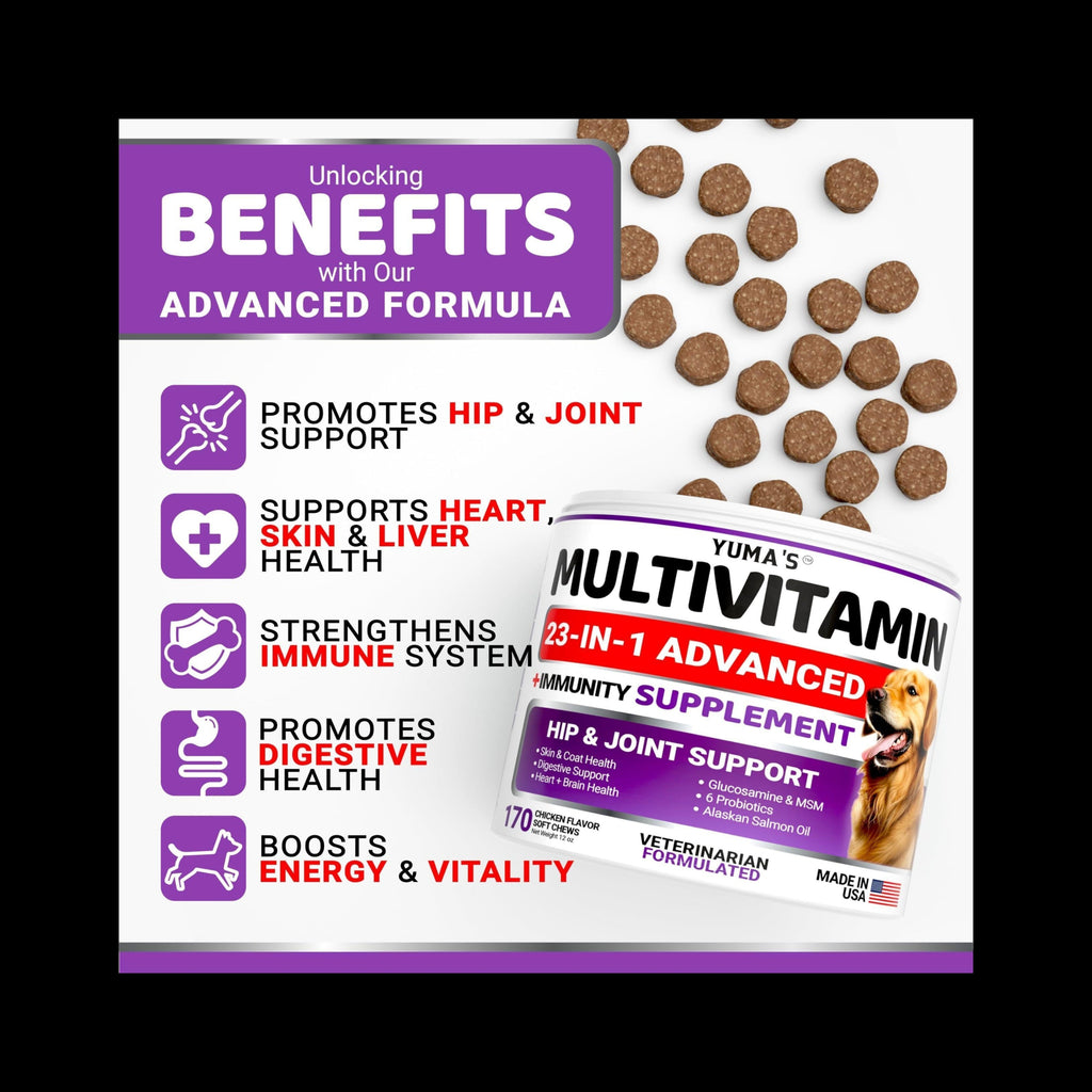 Multivitamin Chews with Glucosamine Dog