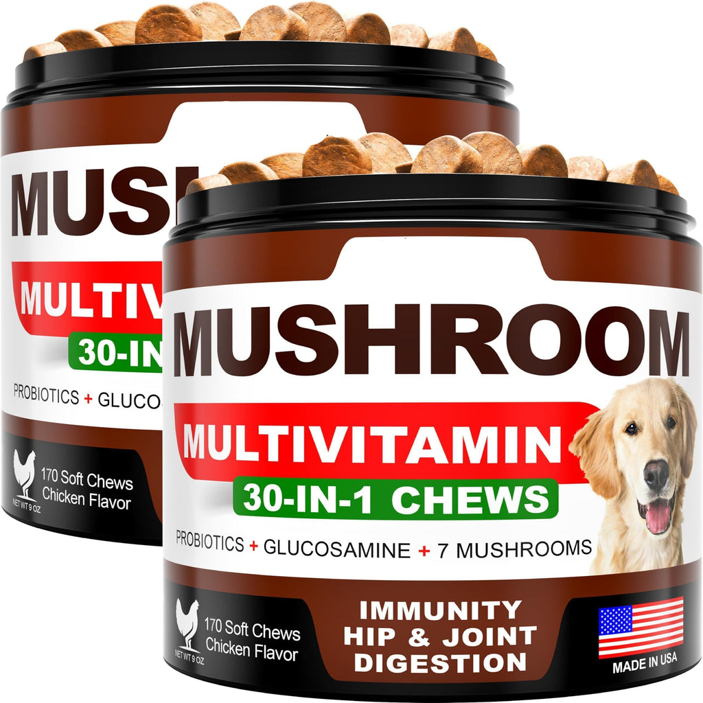 (2 Pack) Mushroom for Dogs   340 Chews   Turkey Tail   Mushroom Supplement for Dogs   Lions Mane   Reishi   Immunity Support Multivitamin Vitamins   Joint Health   Energy   Gut   Skin   Made in USA