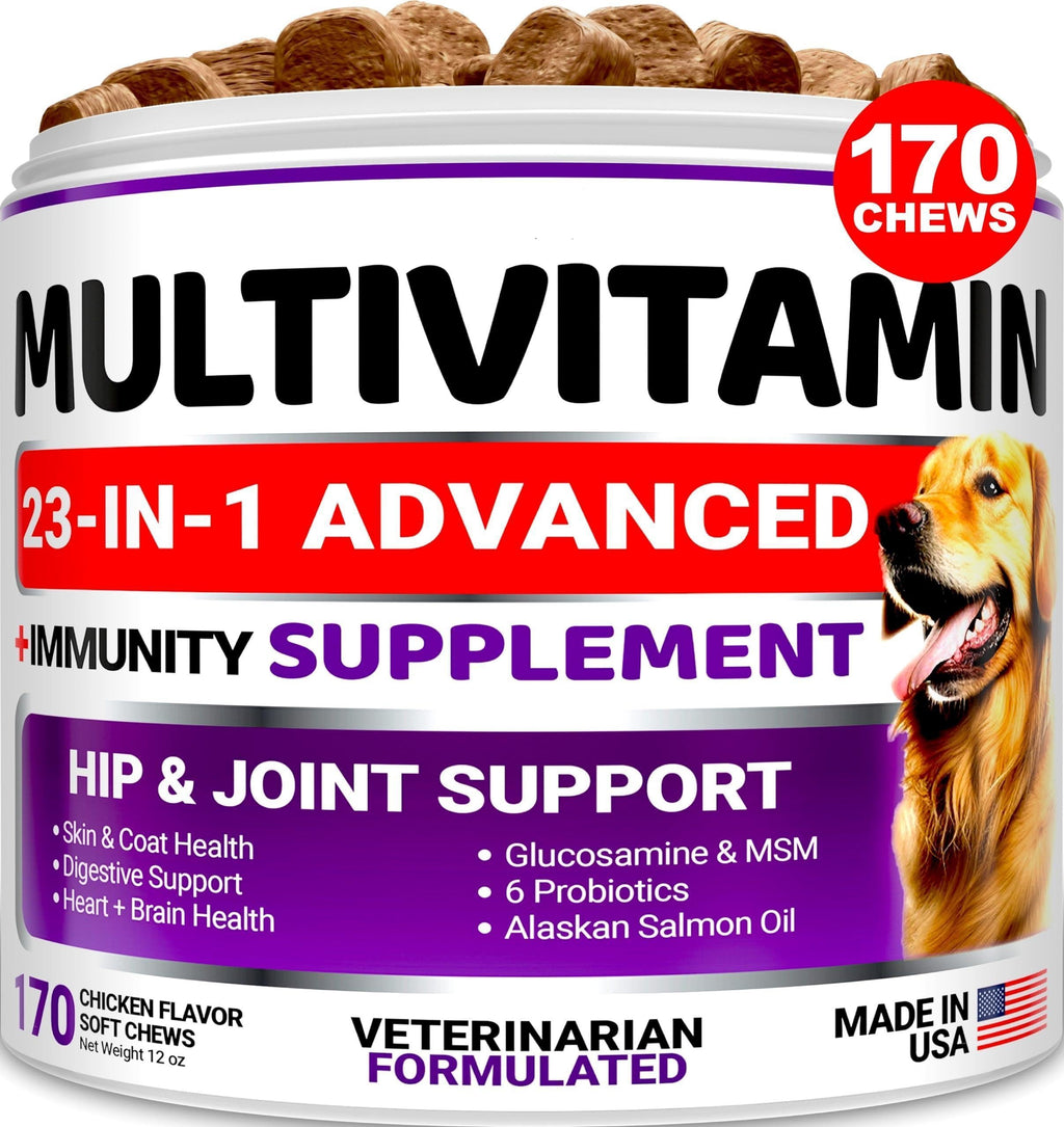Multivitamin Chews with Glucosamine Dog