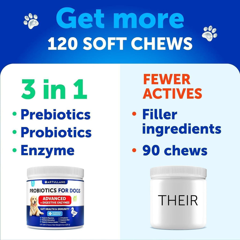 Probiotics for Dogs