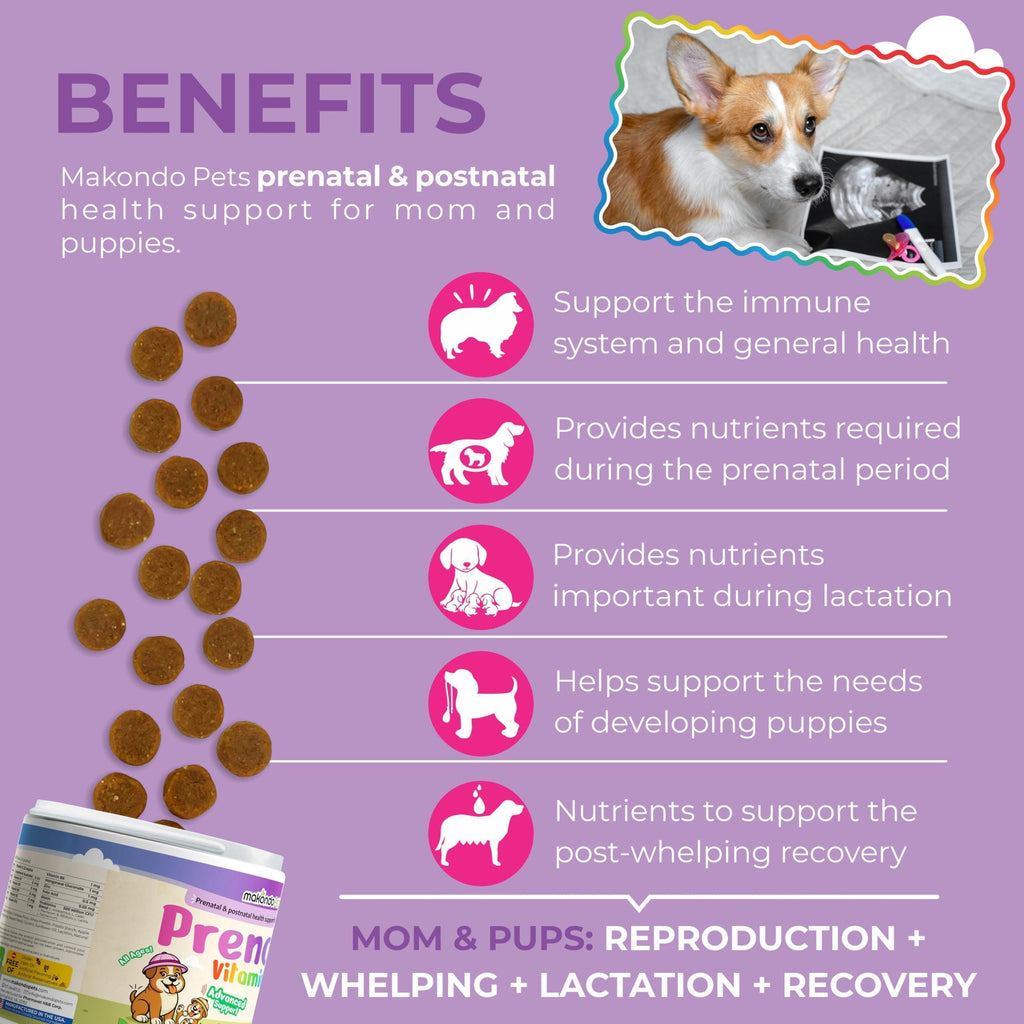 Dog Prenatal Vitamins