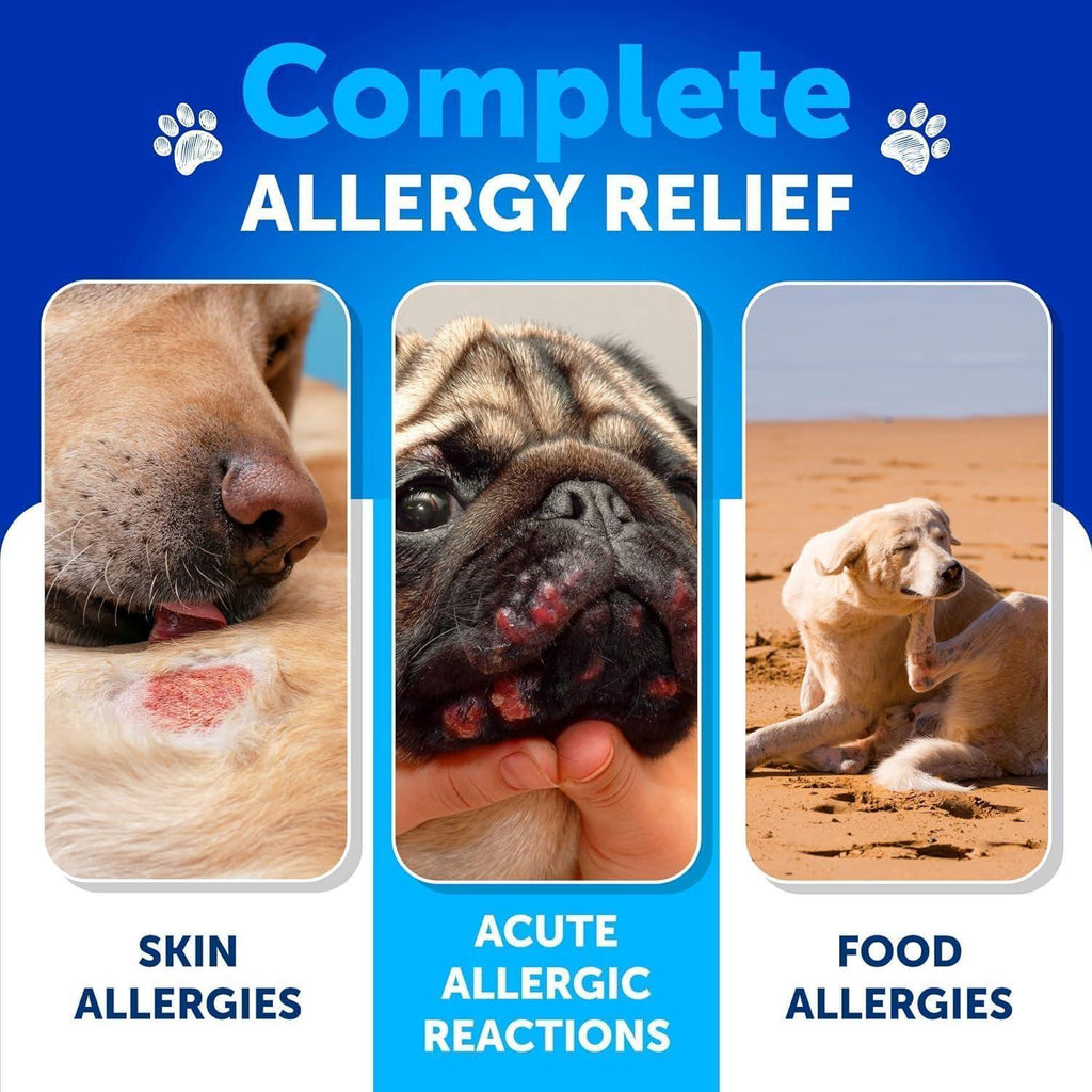 Dog Allergy Relief Chews   Itching Skin Relief for Dogs   Fish Oil   Omega 3   Seasonal Allergies Pills   Skin & Coat Anti ItchHot Spots Treatment   Canine Immune Health Supplement   120 Soft Treats