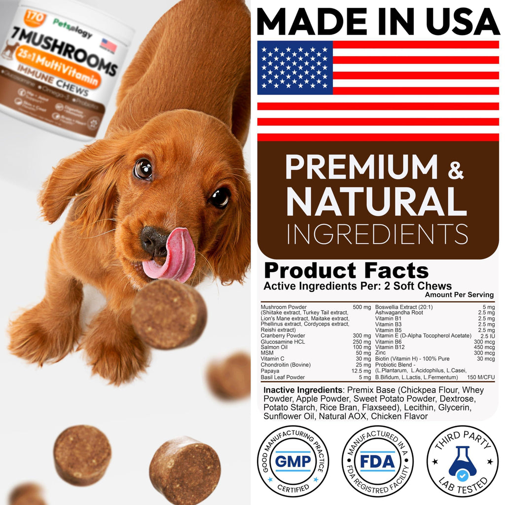 Mushroom Chews Supplement   Multivitamin for Dogs Vitamins Health