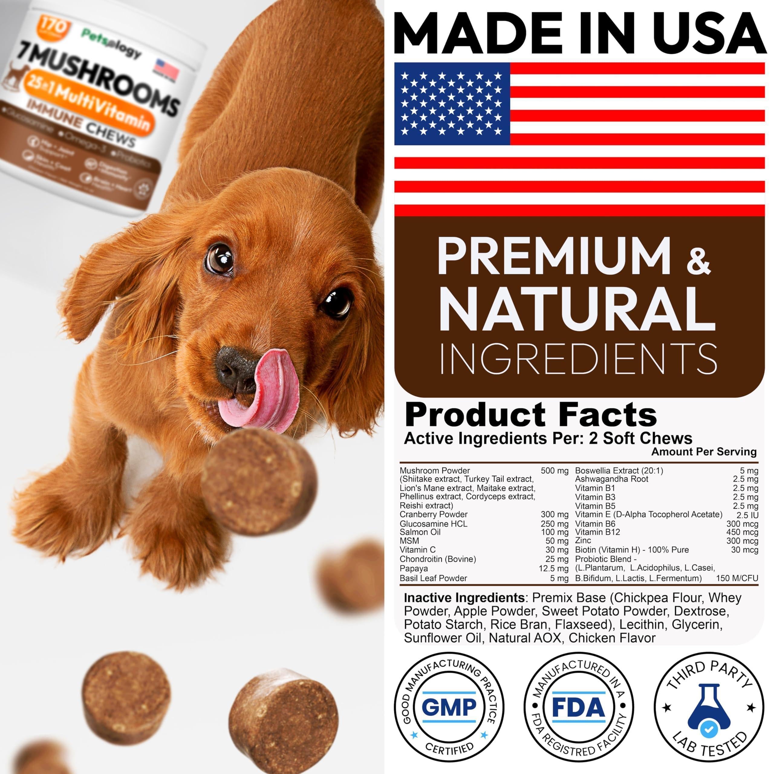 Mushroom Chews Supplement   Multivitamin for Dogs Vitamins Health