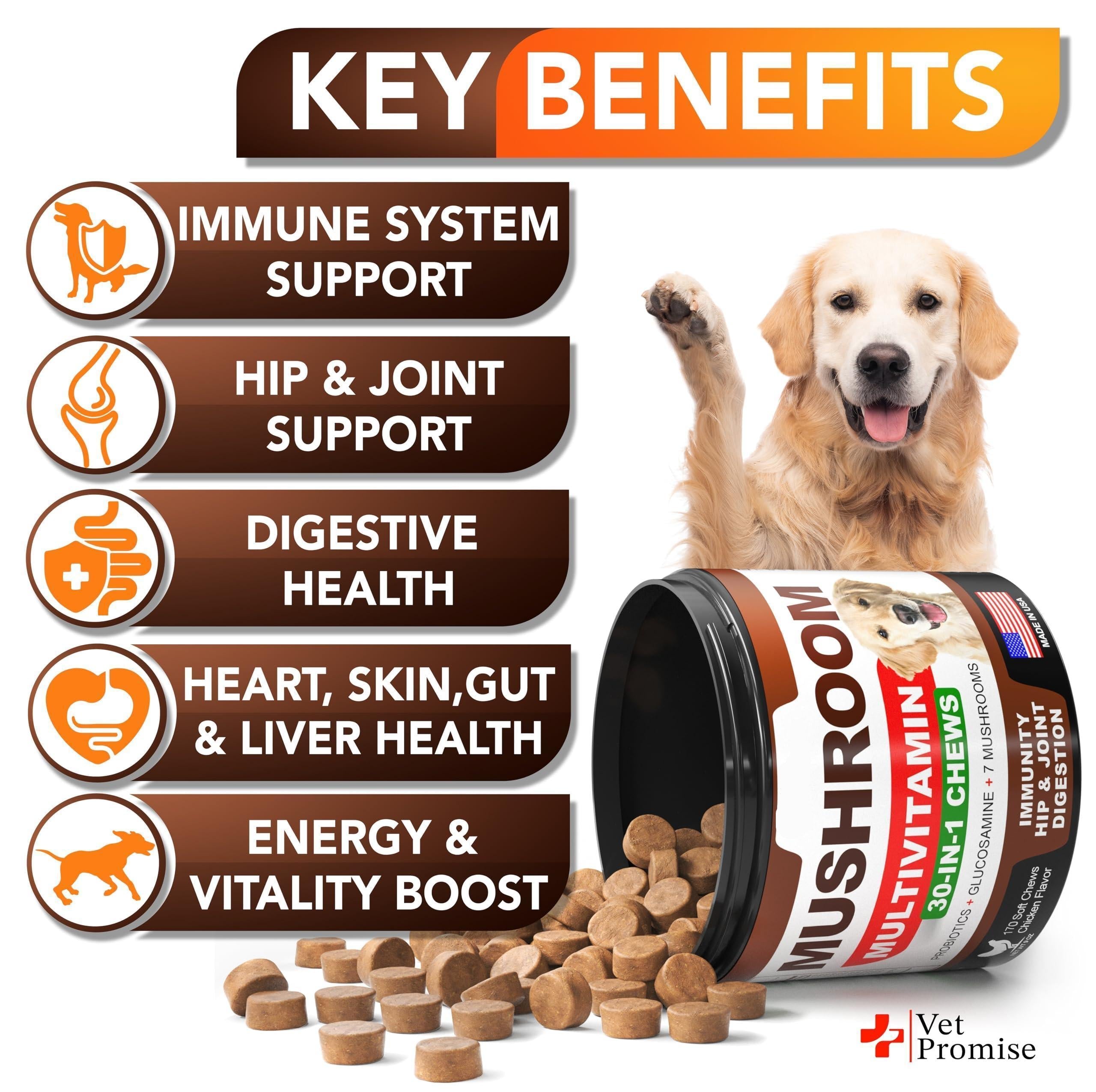 Advanced Mushroom Blend for Dogs 30 in 1