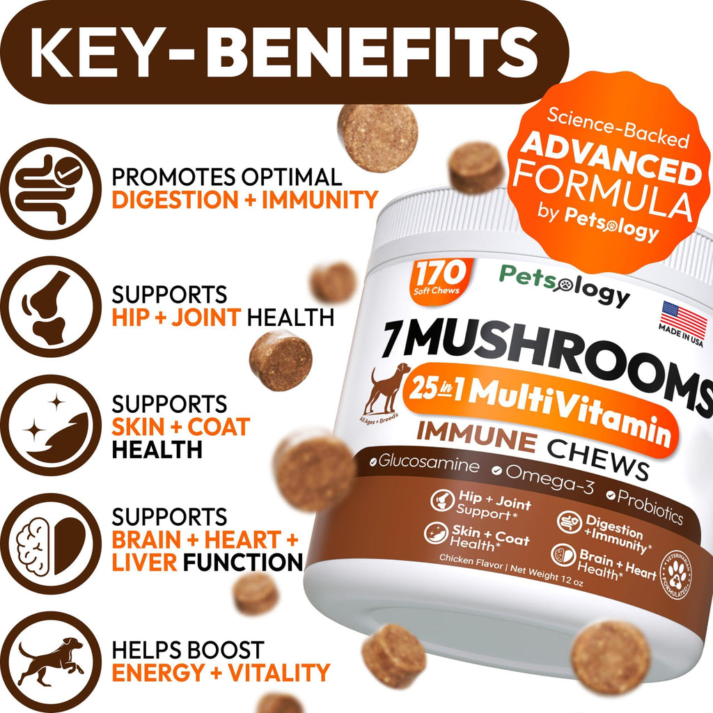Mushroom Chews Supplement   Multivitamin for Dogs Vitamins Health