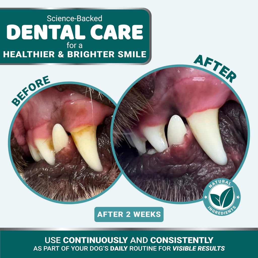 Dog Dental Powder   Breath Freshener   Dog Teeth Cleaning Powder   Tartar and Plaque Off Remover for Dogs   Probiotics   Multivitamin Blend Pet Oral Care Vitamins and Supplements   All Breeds & Sizes