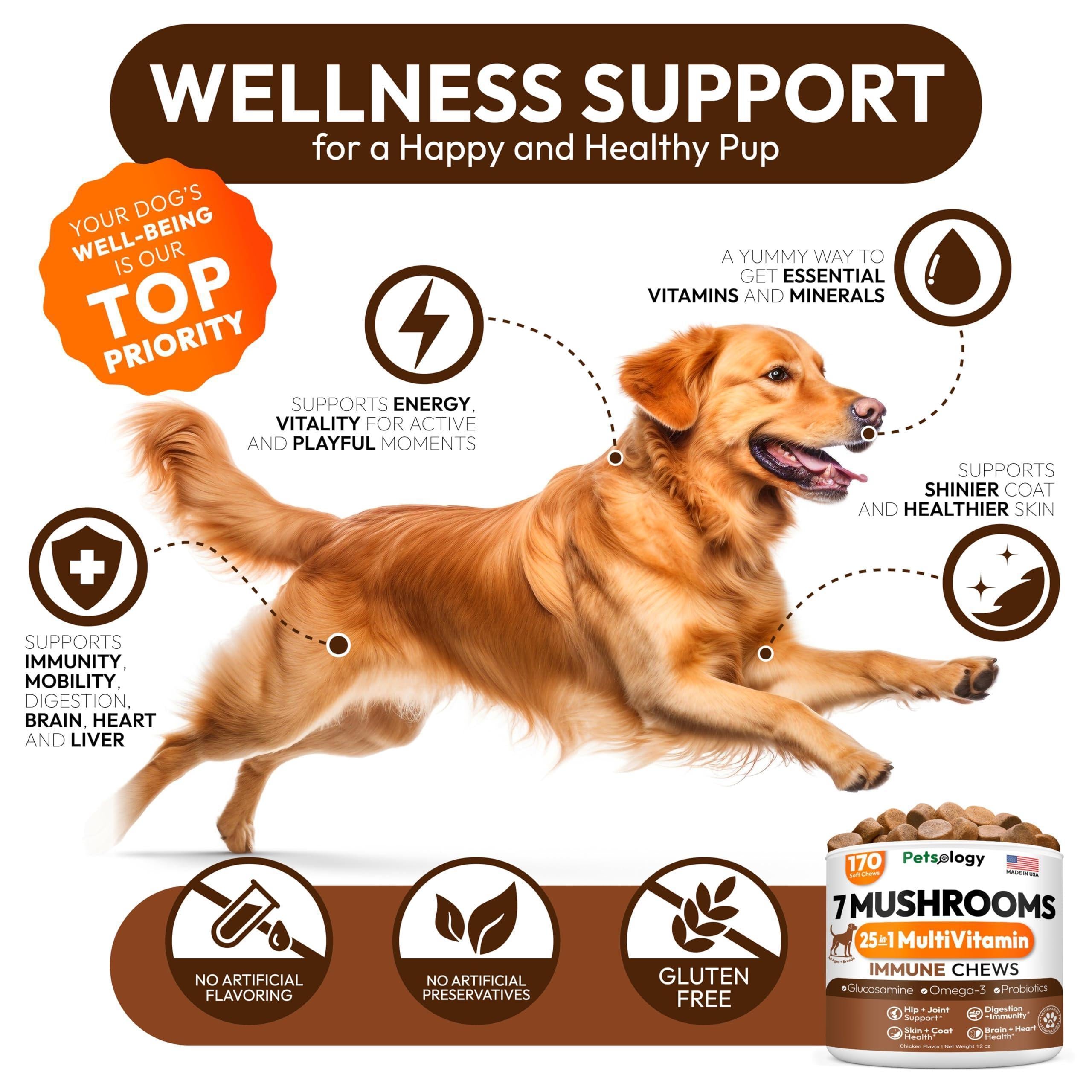 Mushroom Chews Supplement for Dogs