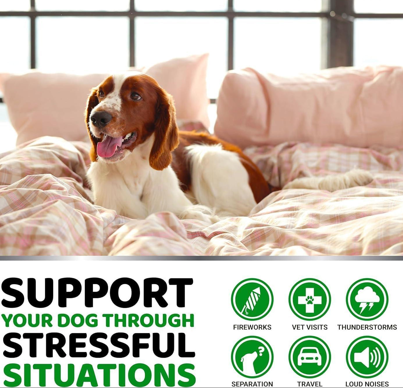 Hemp Calming Dog Chews