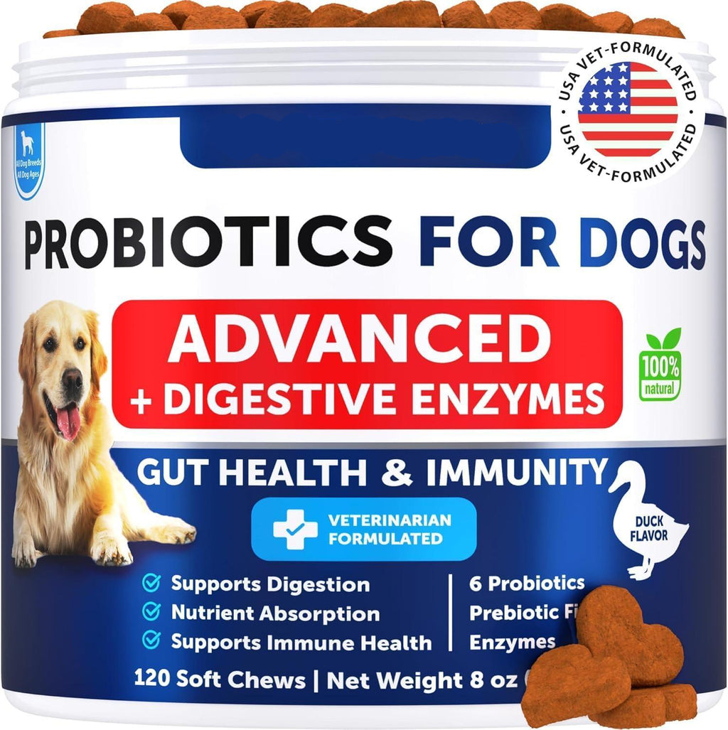 Probiotics for Dogs