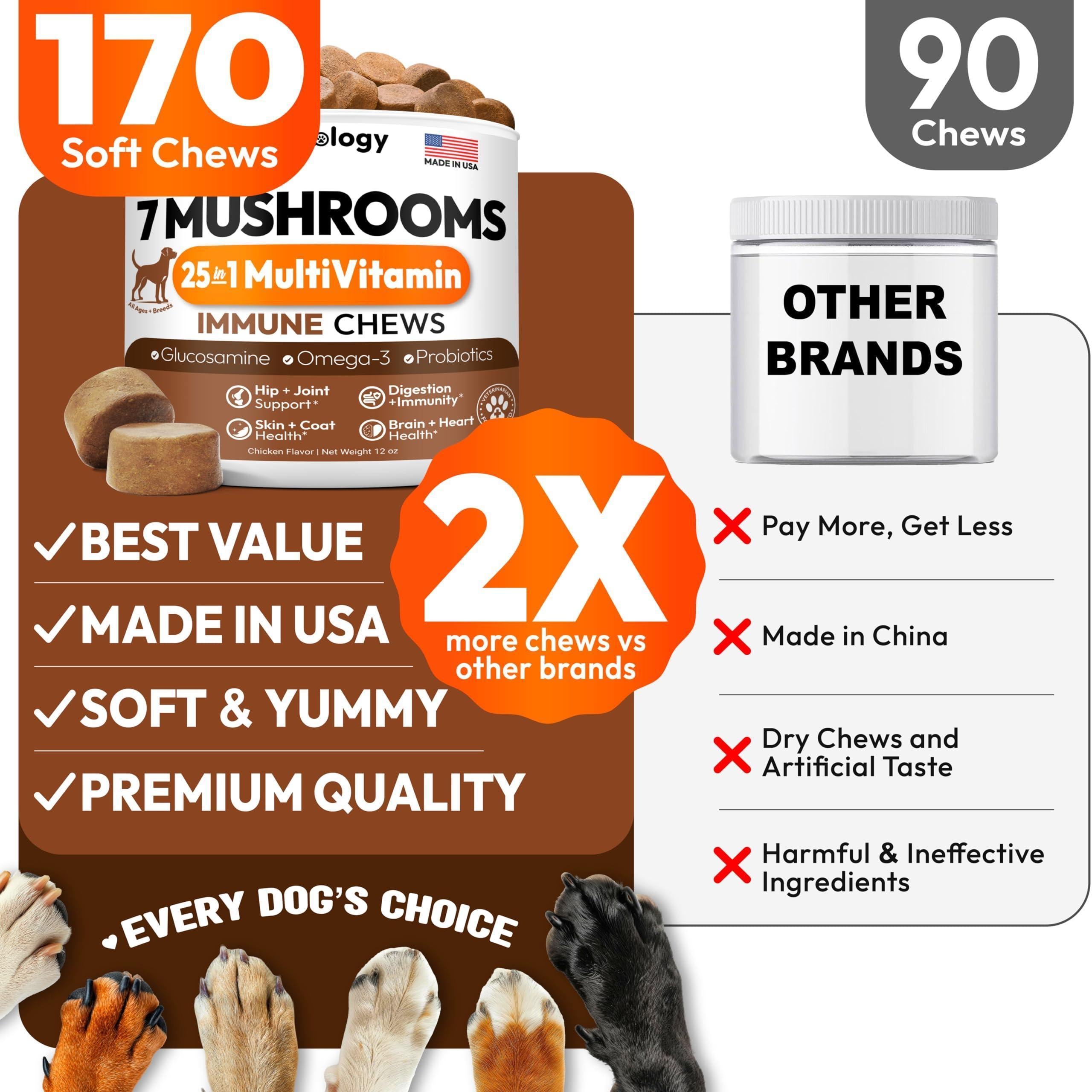 Mushroom Chews Supplement for Dogs
