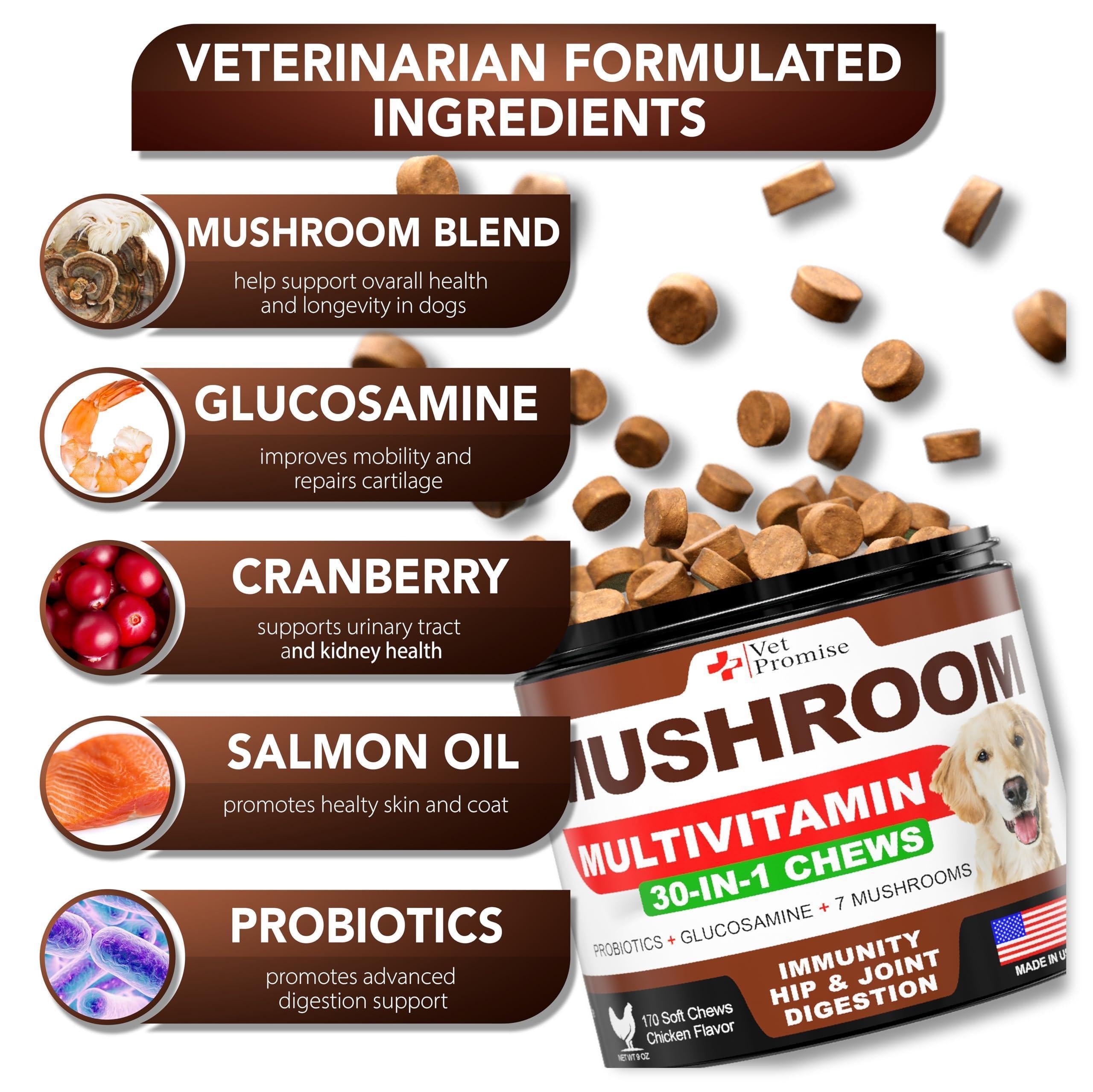Advanced Mushroom Blend for Dogs 30 in 1