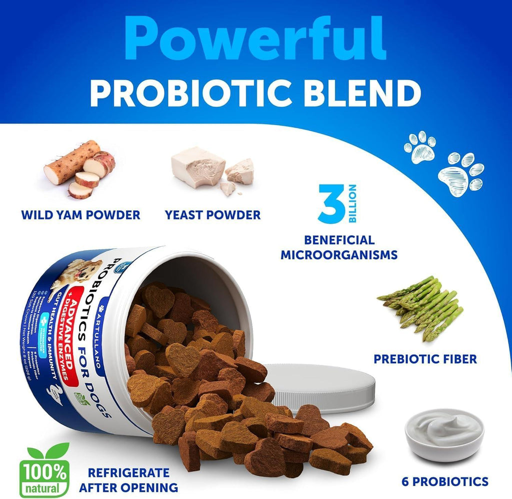 Probiotics for Dogs