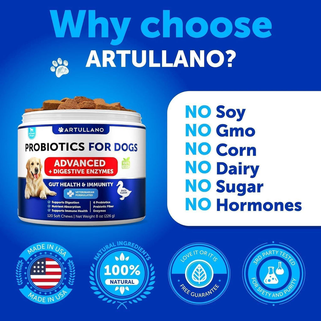Probiotics for Dogs