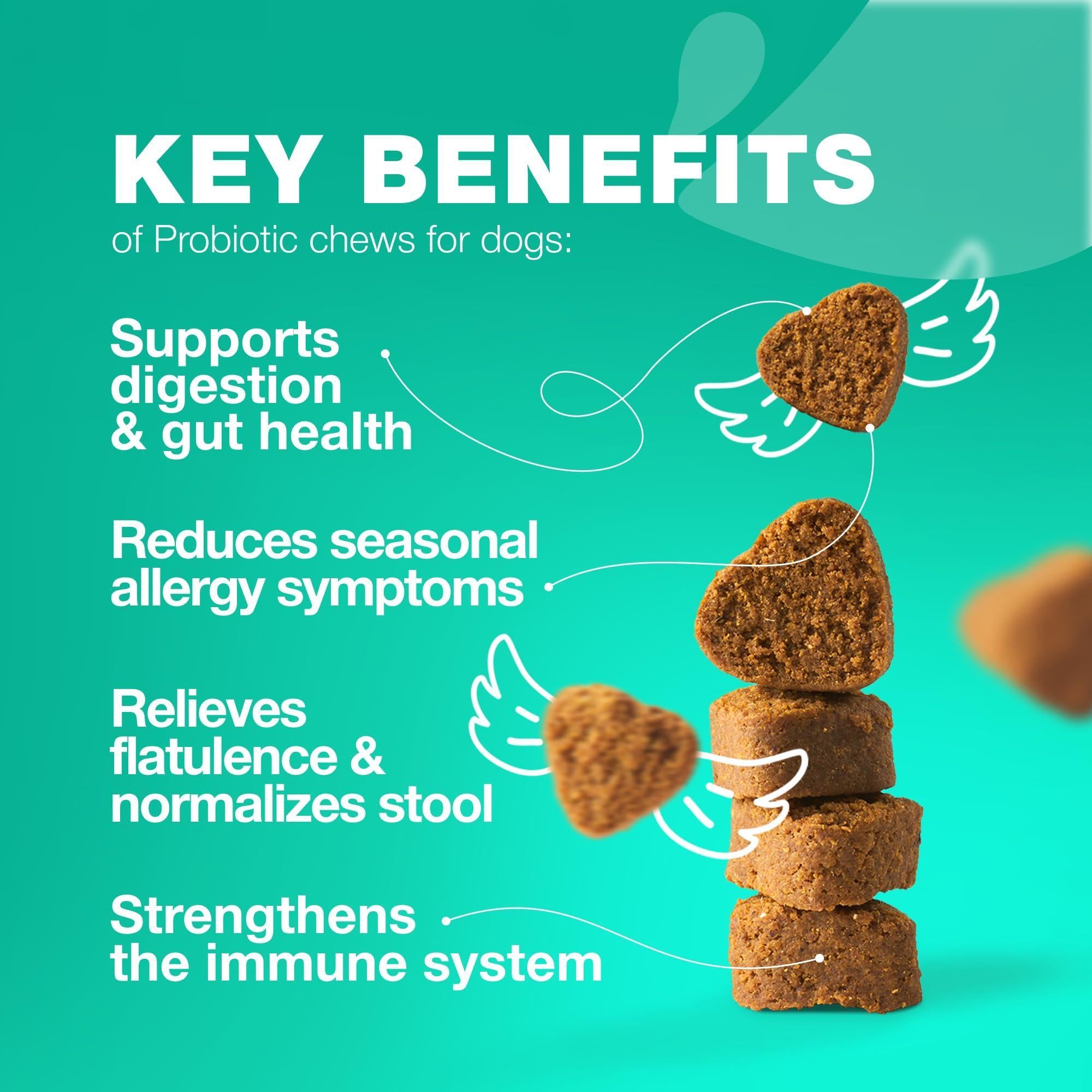 Advanced Probiotic Dog Chews