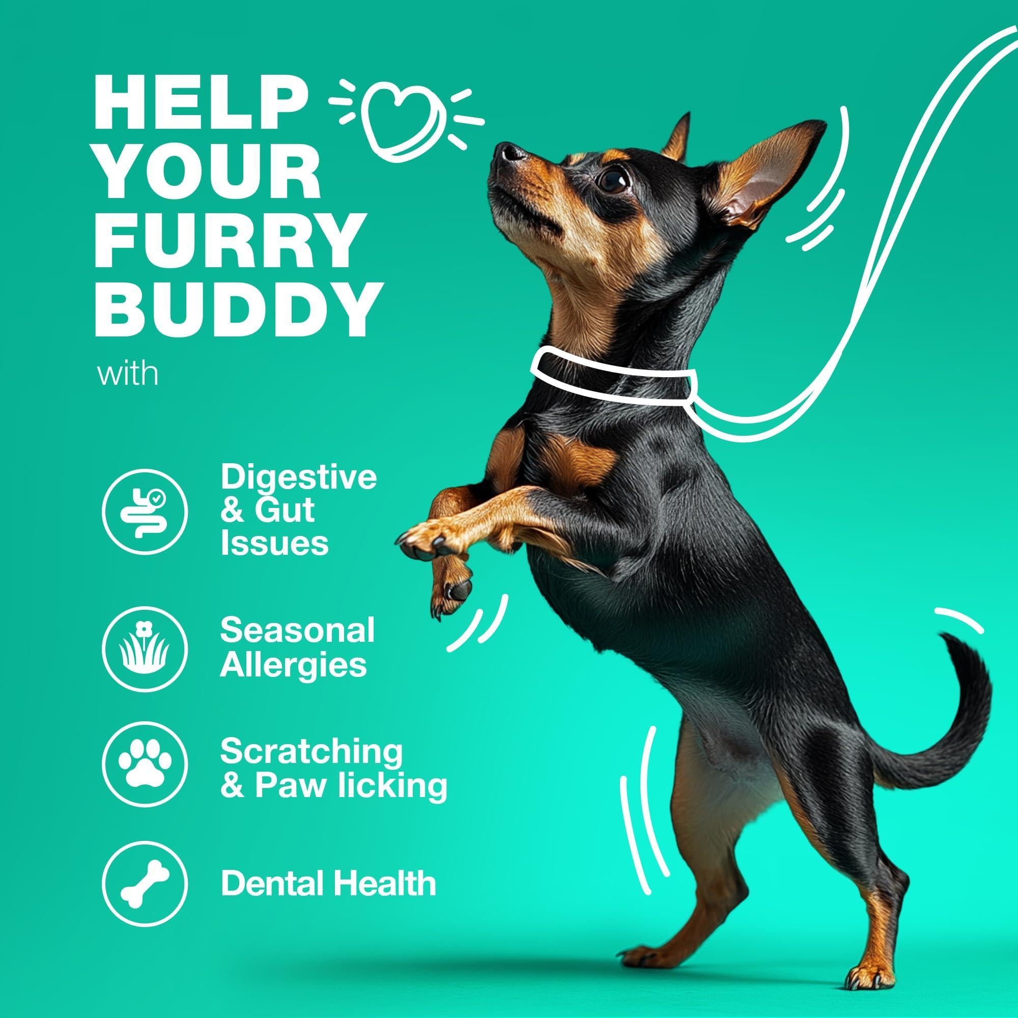 Advanced Probiotic Dog Chews